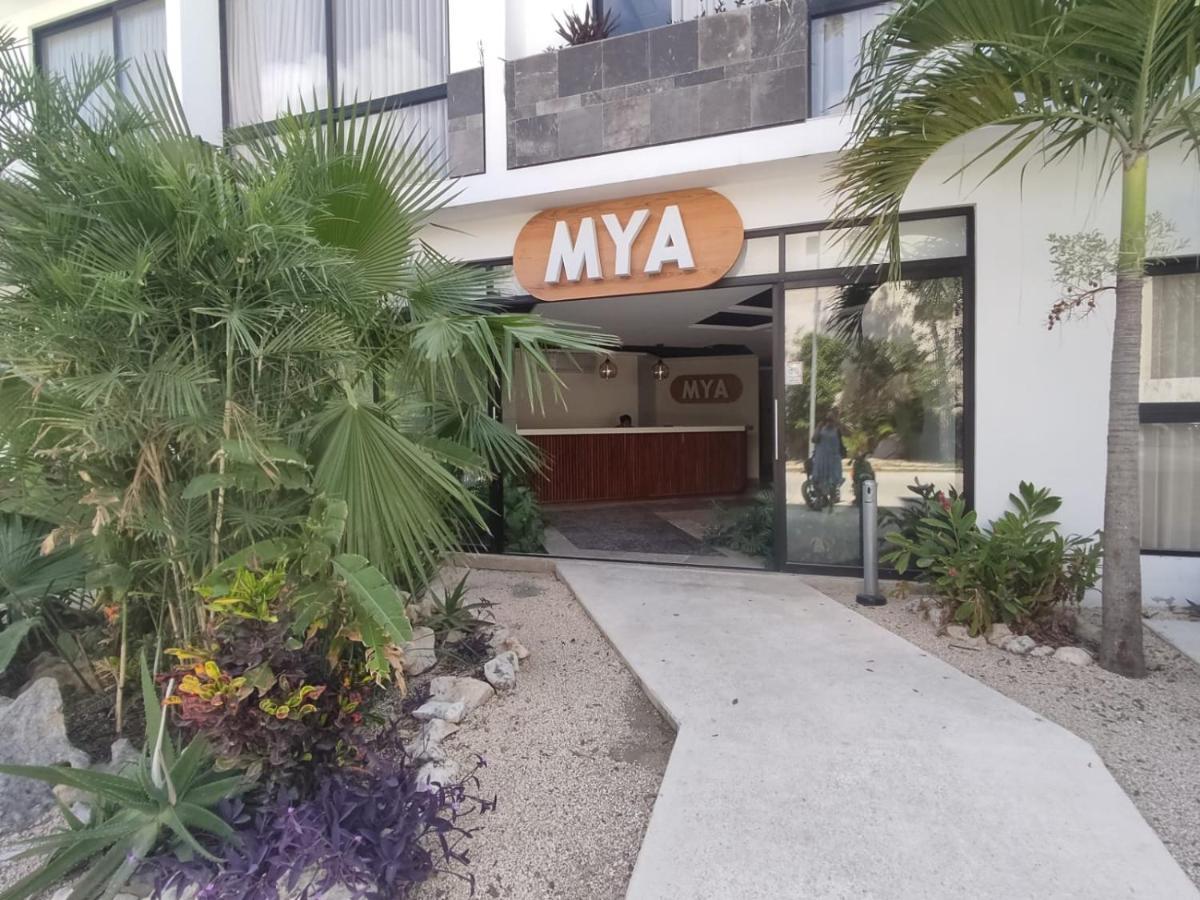 Nuevo Estudio Con Terraza Totalmente Equipado Tulum Aldea Zama Exteriér fotografie